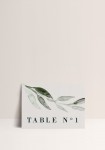Table number -  Eucalyptus