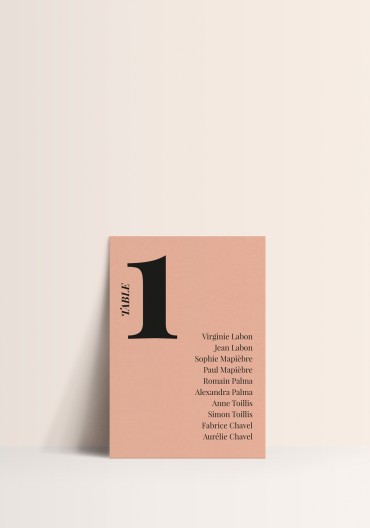 Seating plan - Wedding is the New Black