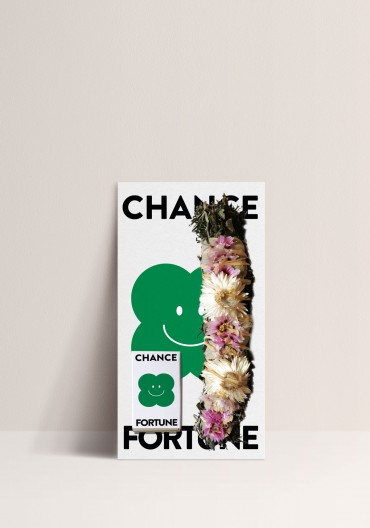 Bâton de fumigation - Chance