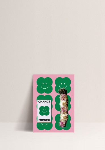 Mini Smudge Stick - Chance